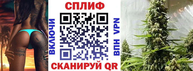 Канабис гибрид Павловская